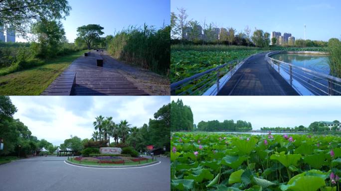 武汉东湖生态旅游风景区4K视频合集