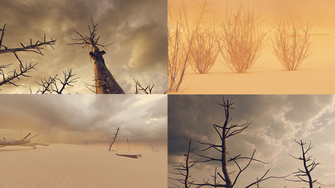 沙漠沙尘暴环境恶化生态破坏绿色生命力自然