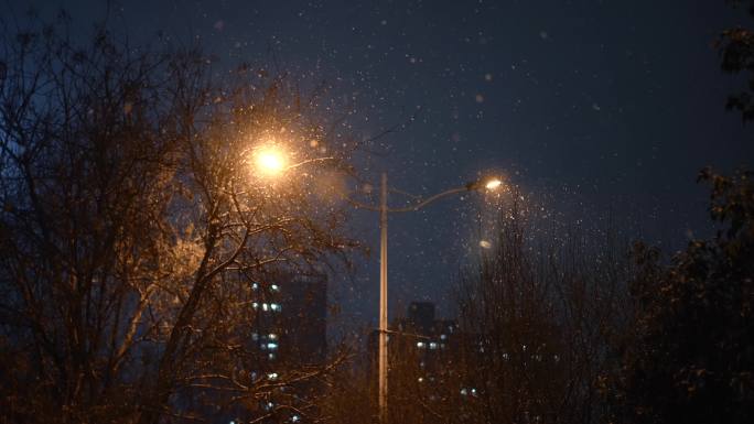 冬天夜晚下雪灯光路灯鹅毛大雪寒流雪天夜景