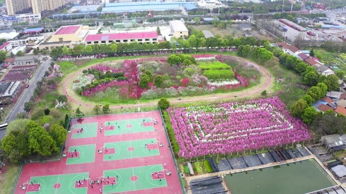 常德职业技术学院桃花航拍