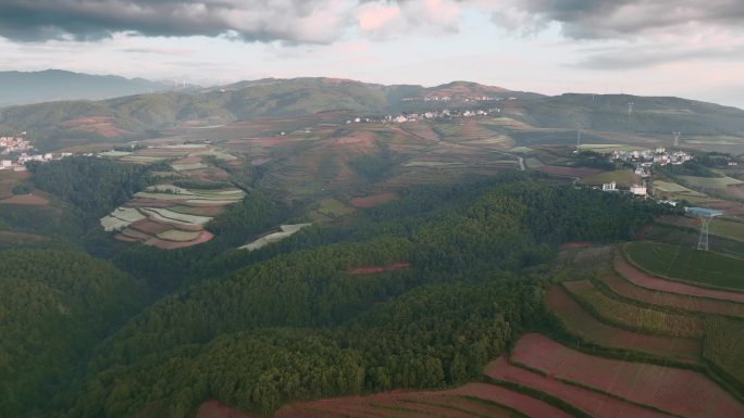 云南风光视频东川红土地森林梯田