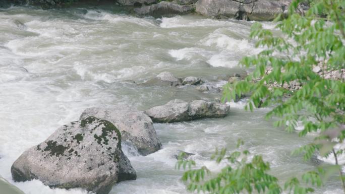 水河流河水山泉水水流山泉流水泉水溪水水花