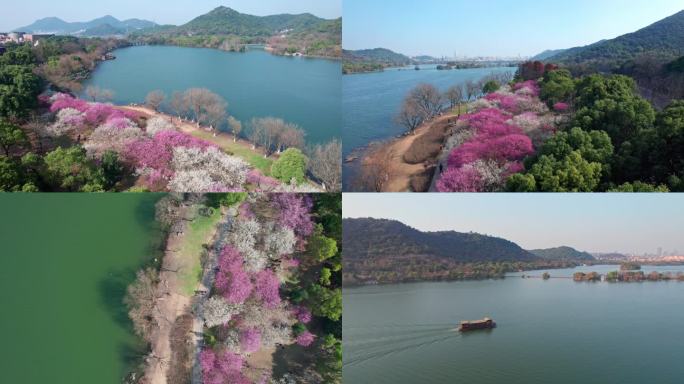 【合集】航拍湘湖梅花游船美景