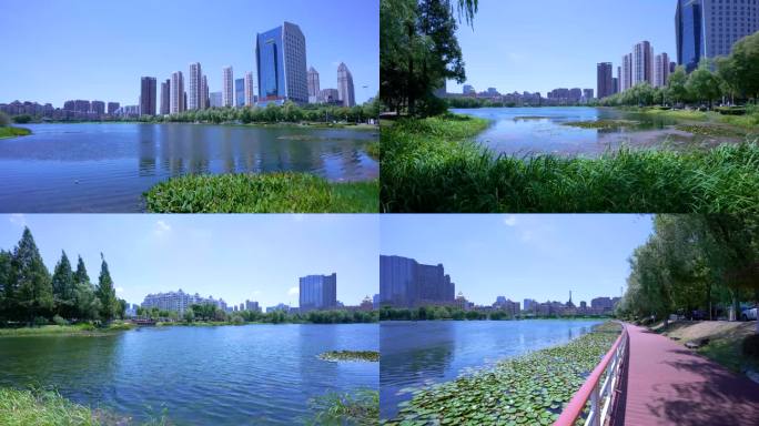 （原创可商用）武汉武昌内沙湖公园风光视频