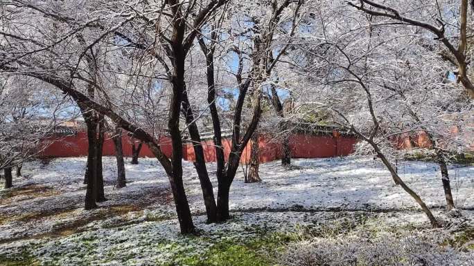 北陵雪景