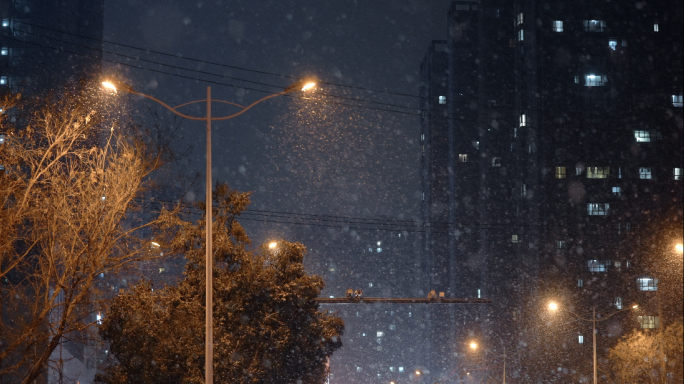 路灯下的雪花雪花街景夜晚下雪城市下雪