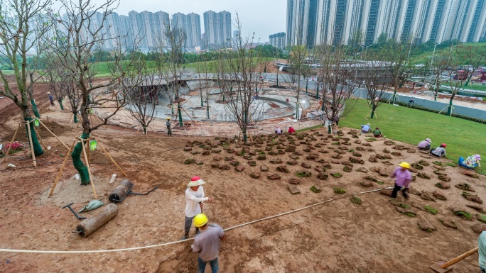 建筑工地草坪铺设过程延时摄影