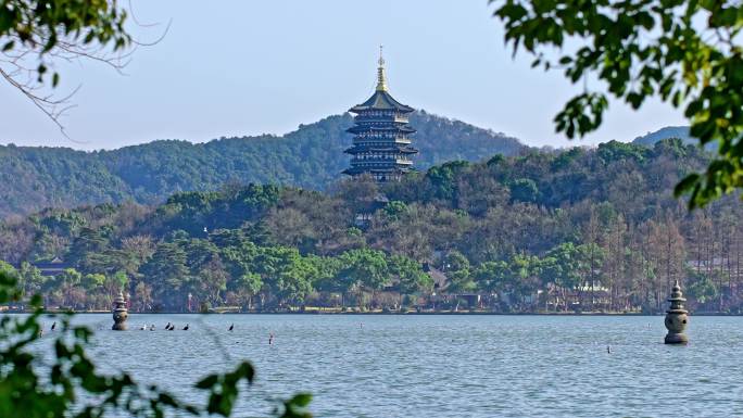 杭州西湖三潭印月 雷峰塔 飞鸟