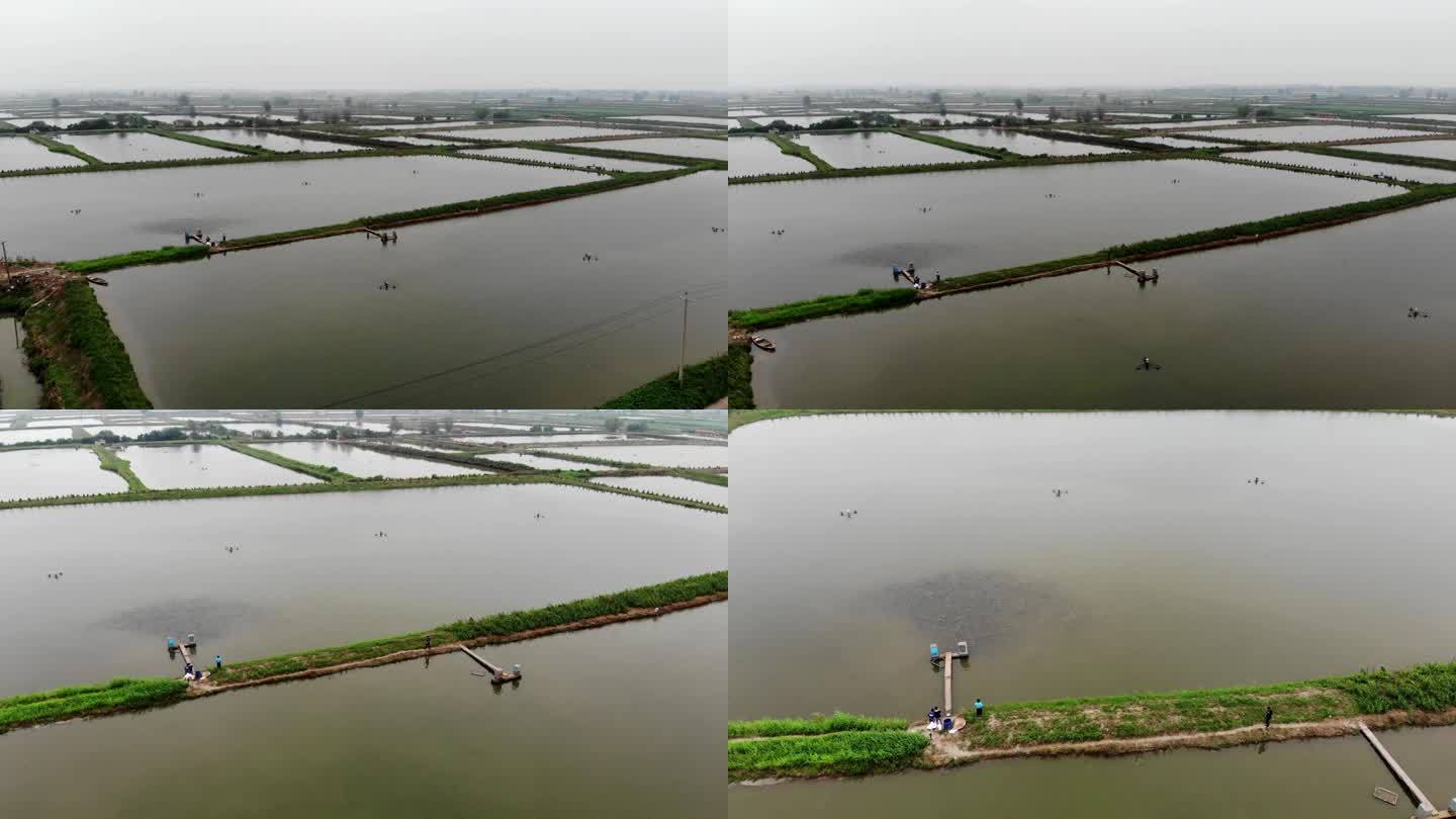 洪湖水产养殖