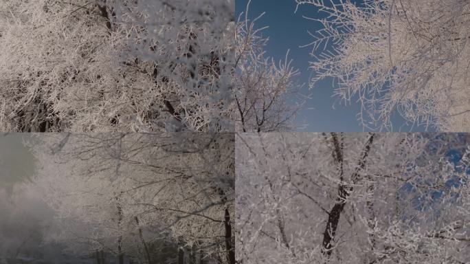 雾凇运动美景冬季雾凇冬季树挂雾凇成组画面