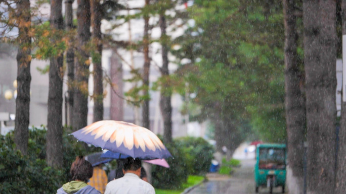 城市雨景 下雨的城市 打伞的行人