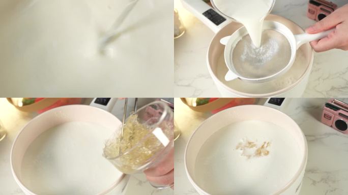 【镜头合集】牛奶椰乳加入吉利丁制作布丁