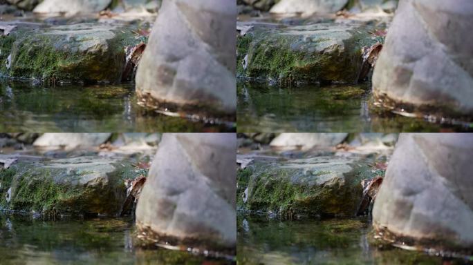 阳光溪流 春的气息  杭州云溪竹径