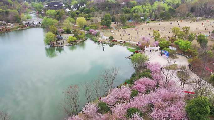 南山