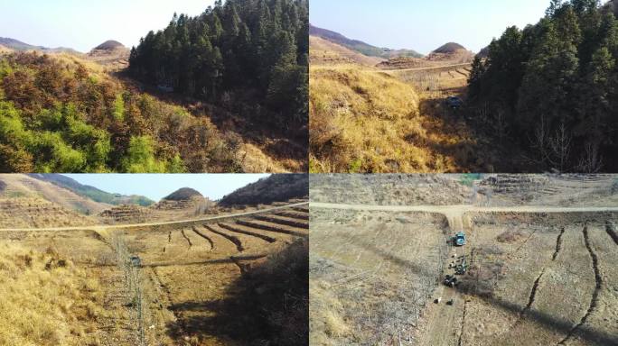 航拍雪峰山山脉山顶跑地猪饲养2