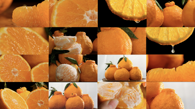 丑橘不知火