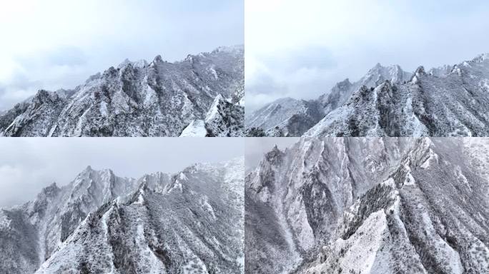 扎碾公路雪山山峰雪松航拍