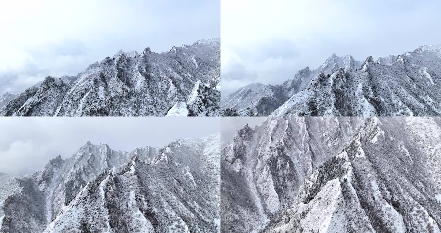 扎碾公路雪山山峰雪松航拍