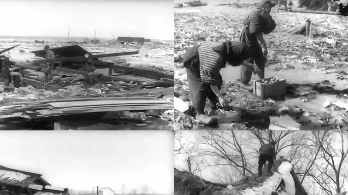 1952年日本地震