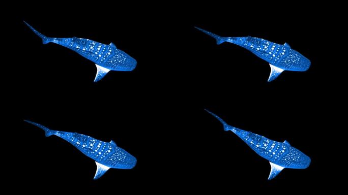 游戏卡通蓝色鲨鱼带透明通道三维动画动态