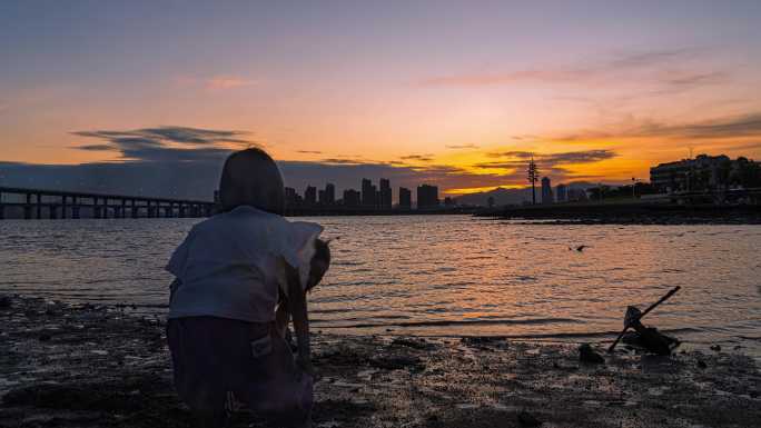 厦门集杏海堤杏  林大桥  城市宣传片