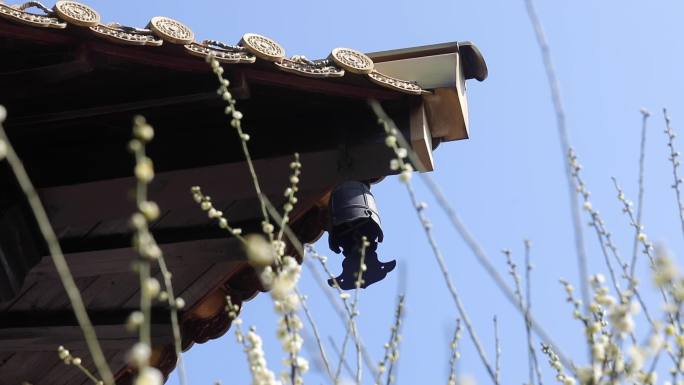 上海松江广富林素材