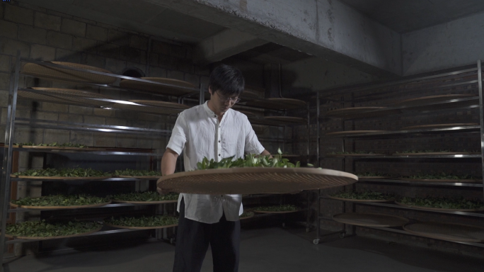 武夷岩茶制作工艺升格4k