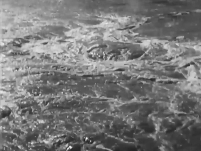 1933年黄河决堤