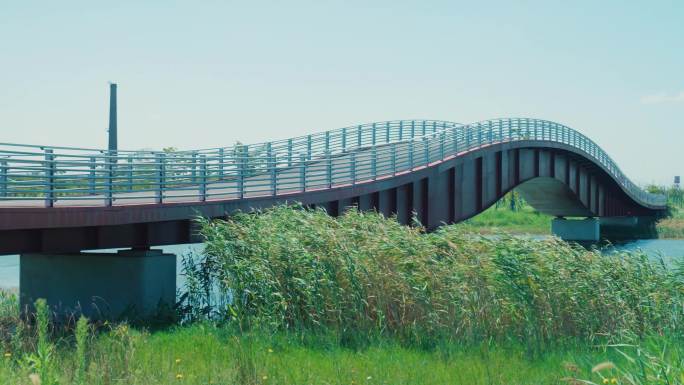 草地 湖水 桥 公园 湿地 生态