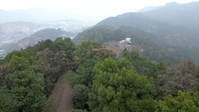 航拍重庆南山泉山步道，山脉，森林