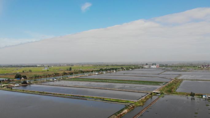 河蟹养殖水面