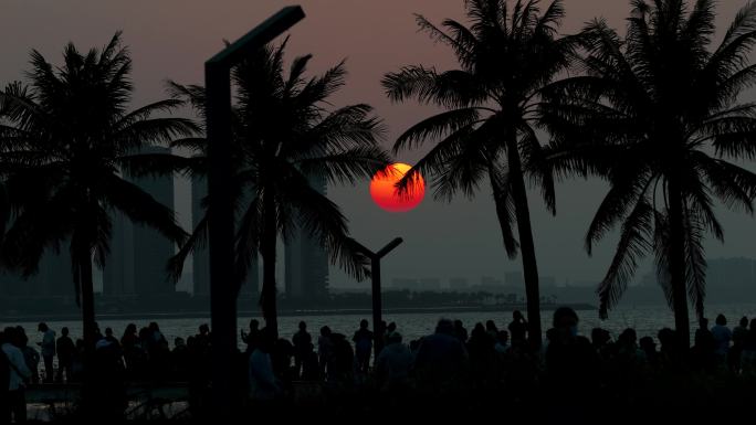 傍晚黄昏在海边的椰树下看夕阳日落的人们