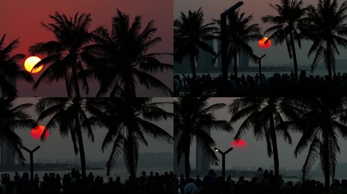 傍晚黄昏在海边的椰树下看夕阳日落的人们