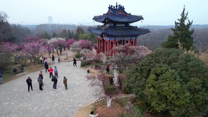 南京梅花山航拍