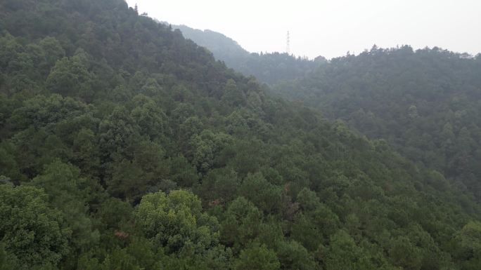 航拍重庆南山泉山步道，山脉，森林