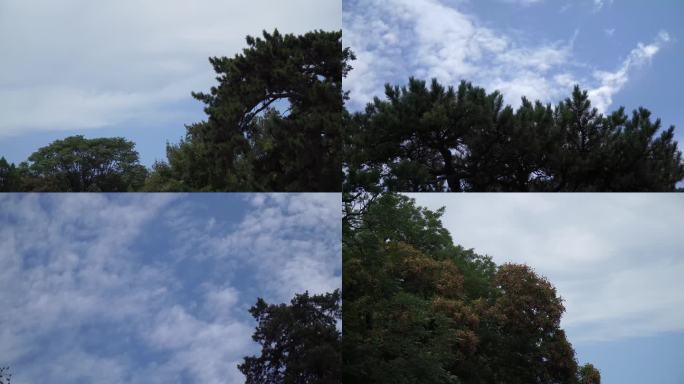 【镜头合集】云层云朵蓝天白云天空 (2)