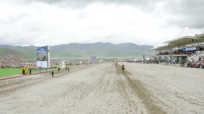 马技 雪域高原 藏族 牧业区 羌塘文化