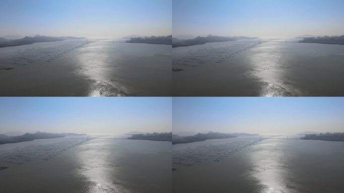 深圳河口航拍
