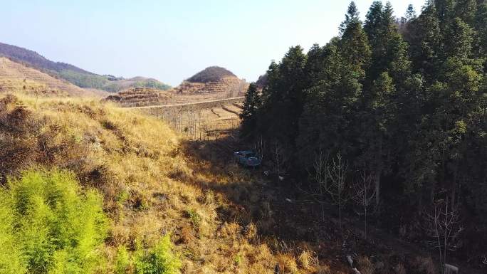 航拍雪峰山山脉山顶跑地猪饲养合集