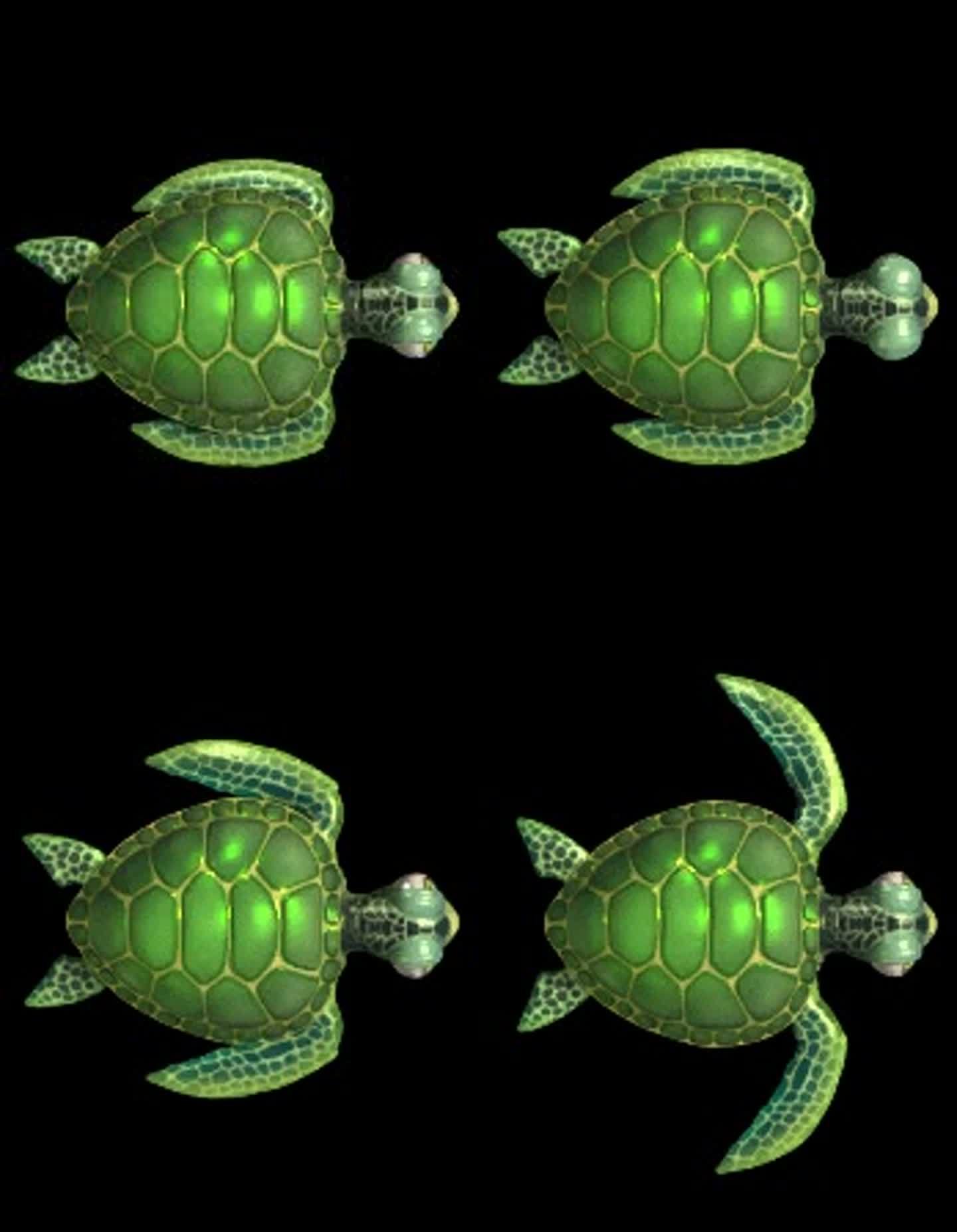 游戏卡通海龟乌龟带透明通道三维动画动态