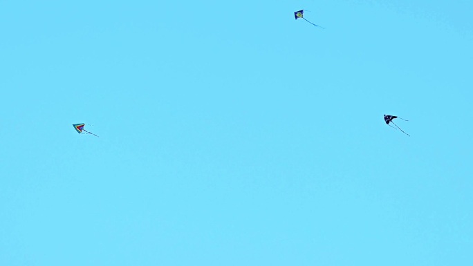 蓝天上的三个风筝