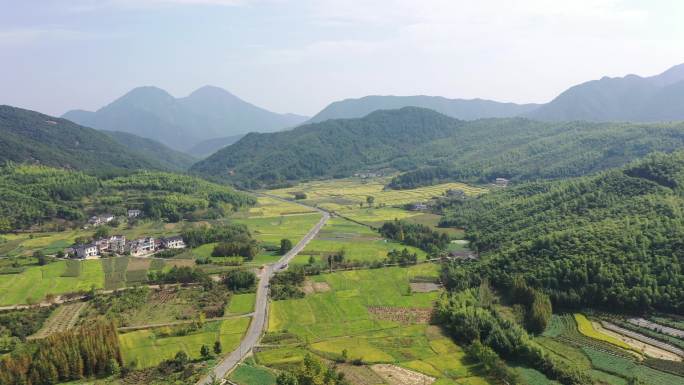 大山里秋天金色稻田