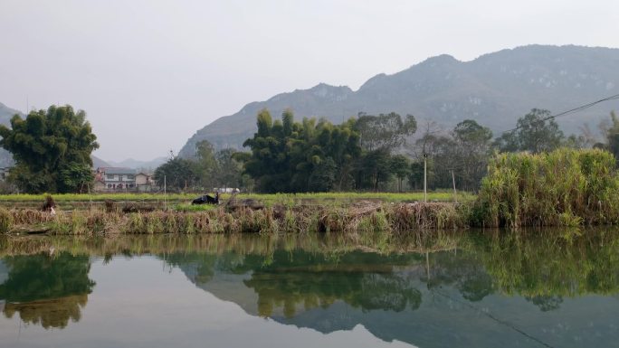 贵州春天风景