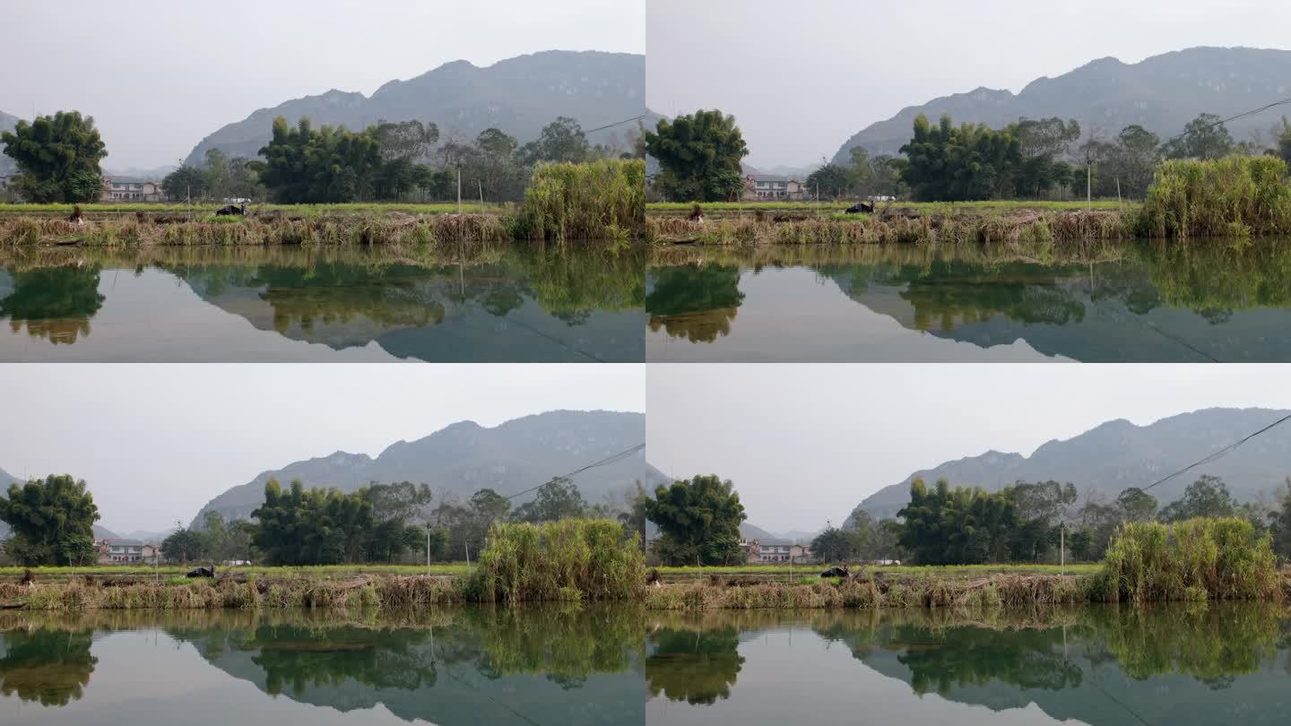 贵州春天风景