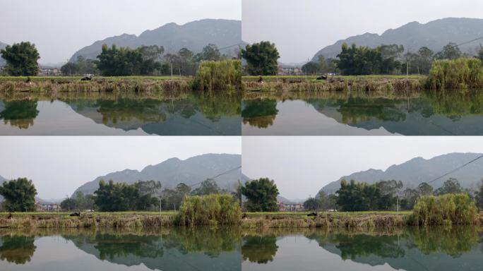 贵州春天风景