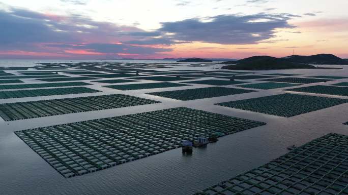 夕阳海洋牧场