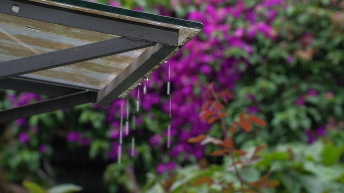 下雨天的屋檐