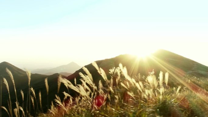 相山 山顶 夕阳 芦苇 心情 黄昏