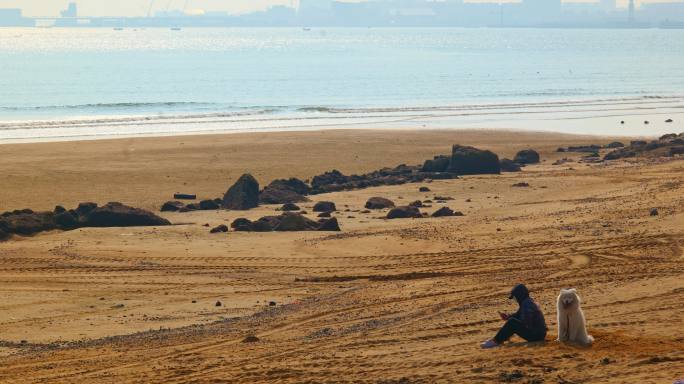 男人和狗在海边沙滩上