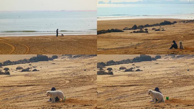 男人和狗在海边沙滩上